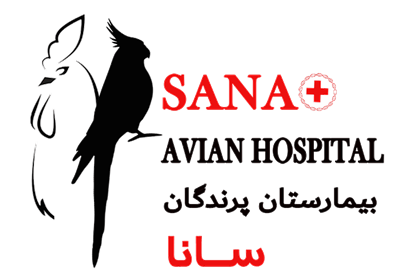 Sana Birds Specialized Hospital