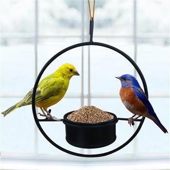 راهنمای تغذیه ای پرندگان